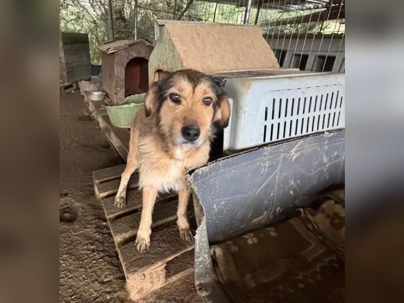 Tilda – ruhig und freundlich ❤️