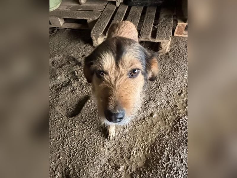 Tilda – ruhig und freundlich ❤️