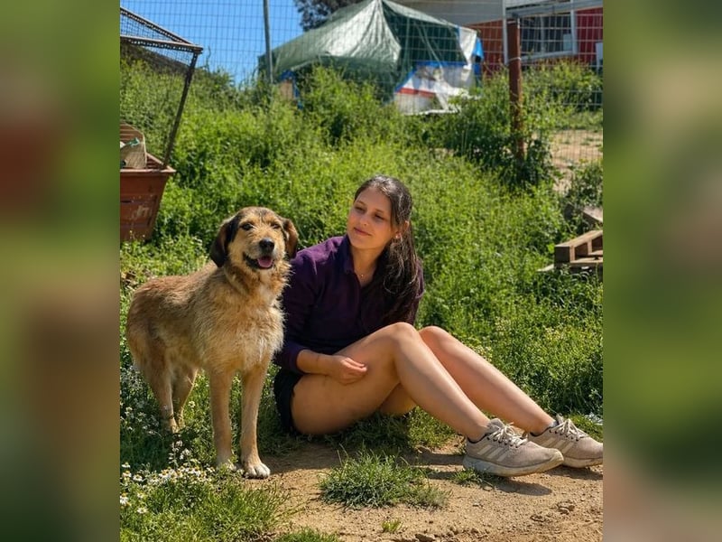 Tilda – ruhig und freundlich ❤️ Bereits auf PS in 58452 Witten!