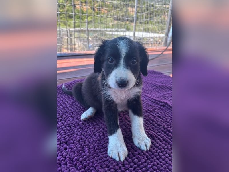 Abby – kleine Entdeckerin ❤️