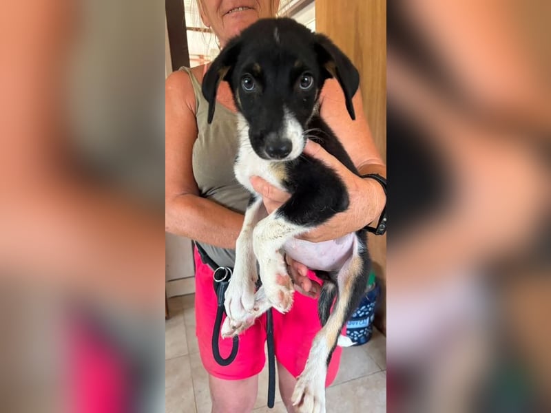 Moira - bereit für ein tolles Leben