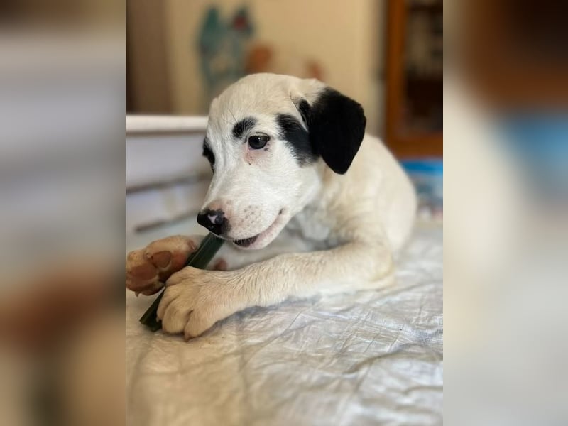 Beverly – neugierig, stark und bereit fürs Abenteuer Leben