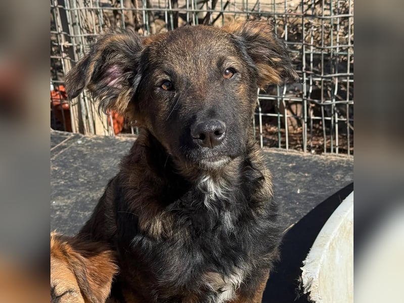 Vito