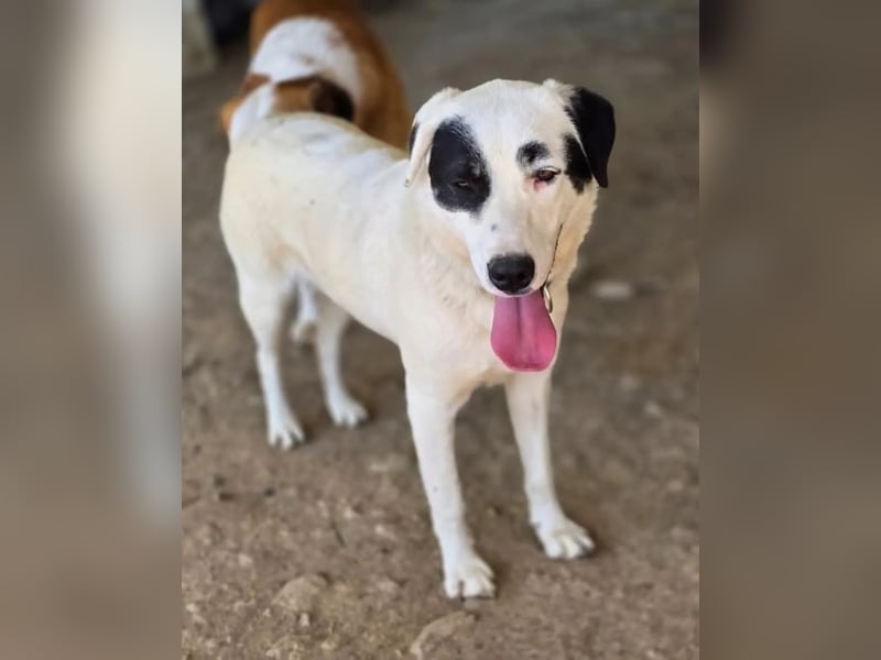 Beverly – neugierig, stark und bereit fürs Abenteuer Leben
