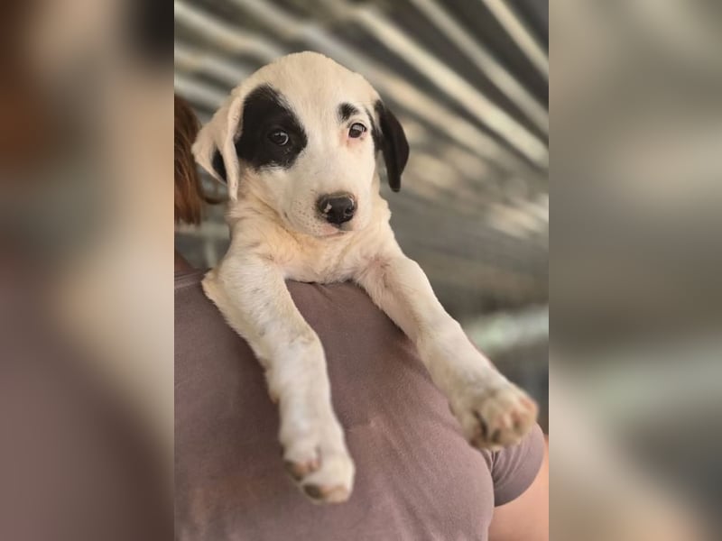 Beverly – neugierig, stark und bereit fürs Abenteuer Leben