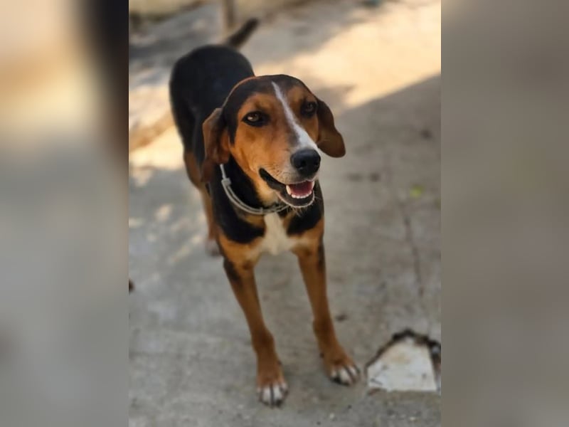 Lotta – eine kleine Menschenfreundin ❤️