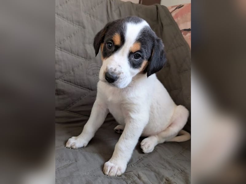 Feli – ein junger Anfang 