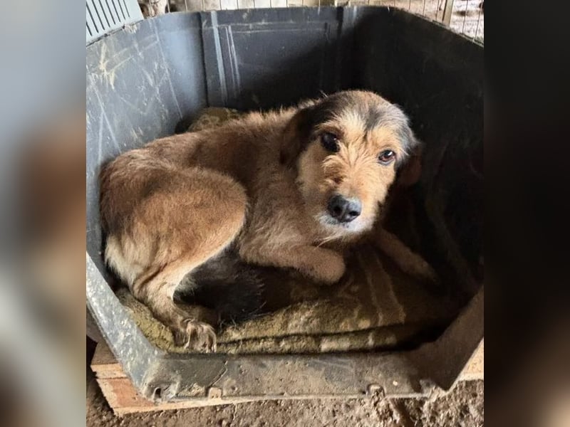 Tilda – ruhig und freundlich ❤️