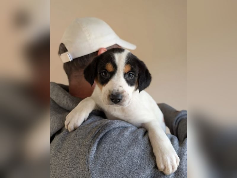 Feli – ein junger Anfang 