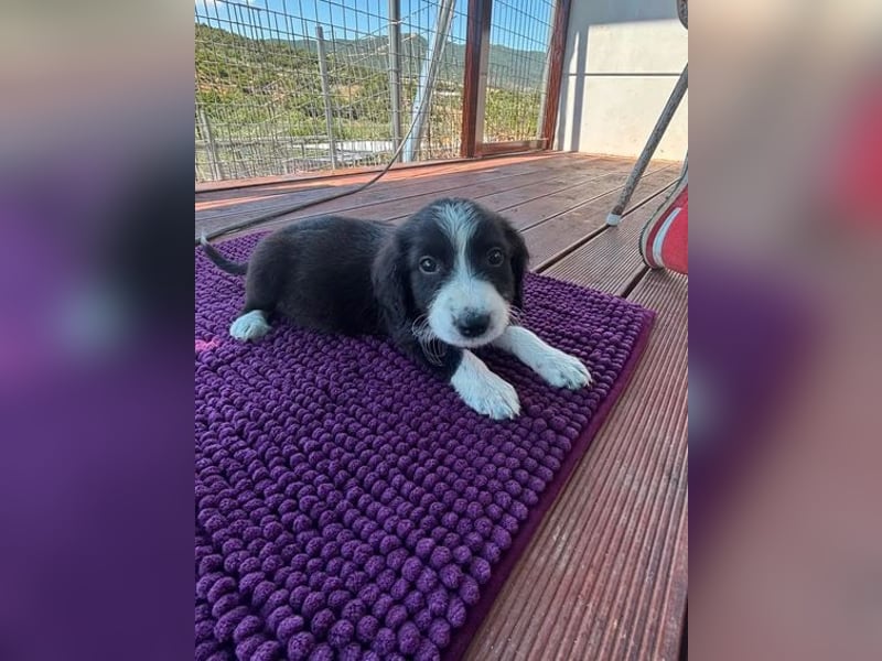 Abby – kleine Entdeckerin ❤️
