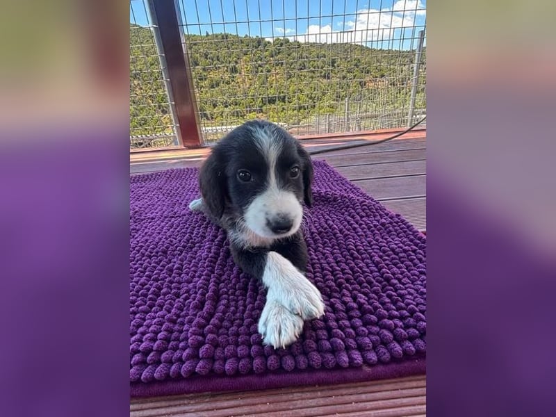 Abby – kleine Entdeckerin ❤️