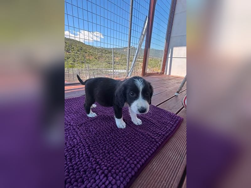 Abby – kleine Entdeckerin ❤️