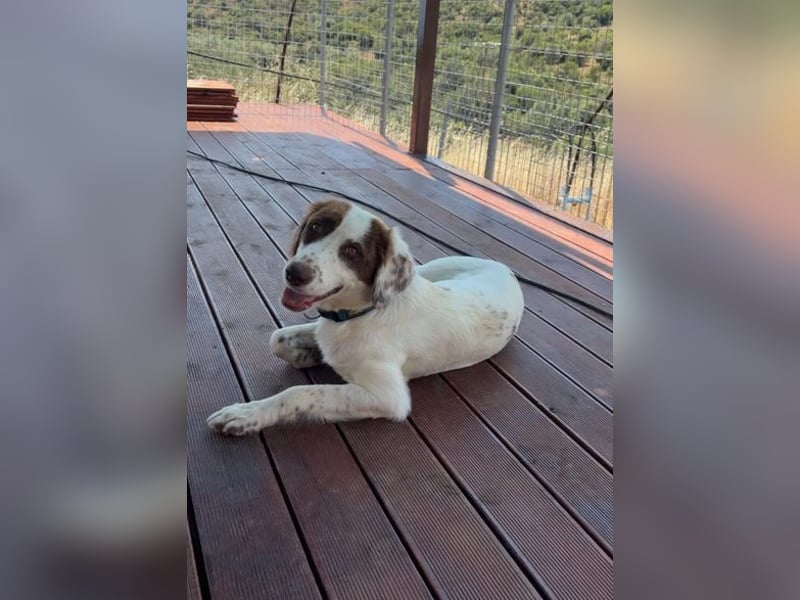 Snow White – liebevolle Mama 
