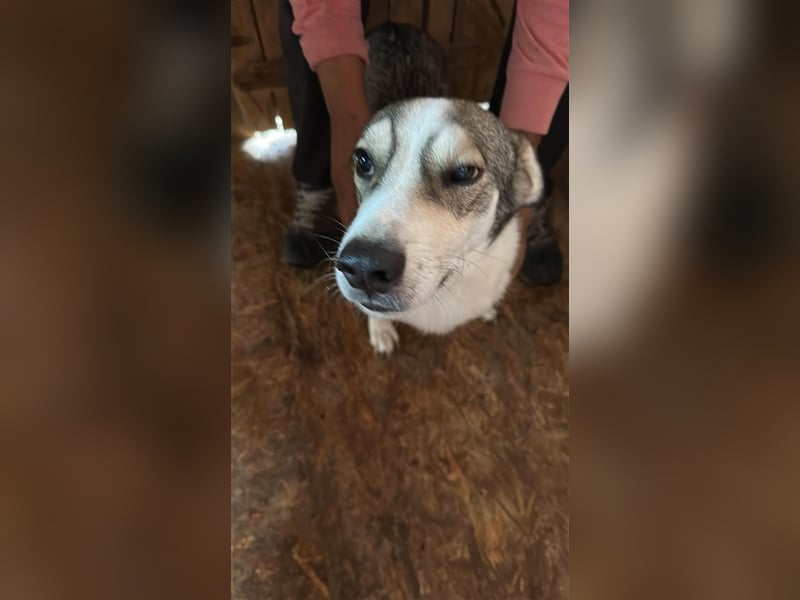 Mallon sucht seine Familie