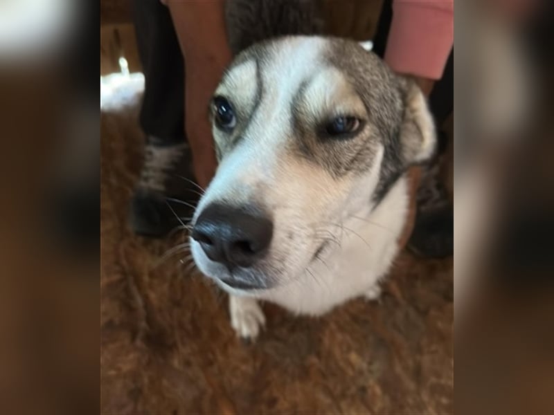 Mallon sucht seine Familie