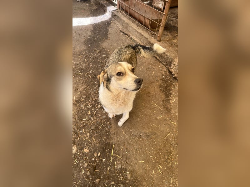 Mallon sucht seine Familie