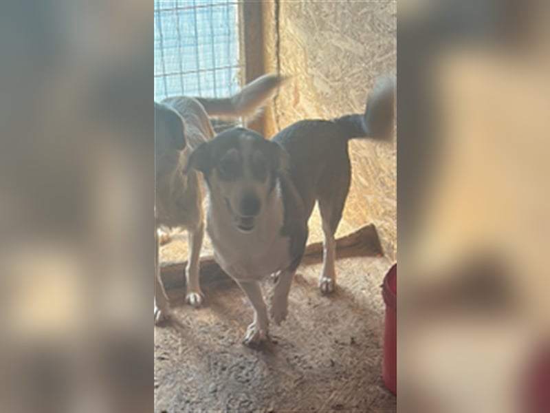 Mallon sucht seine Familie