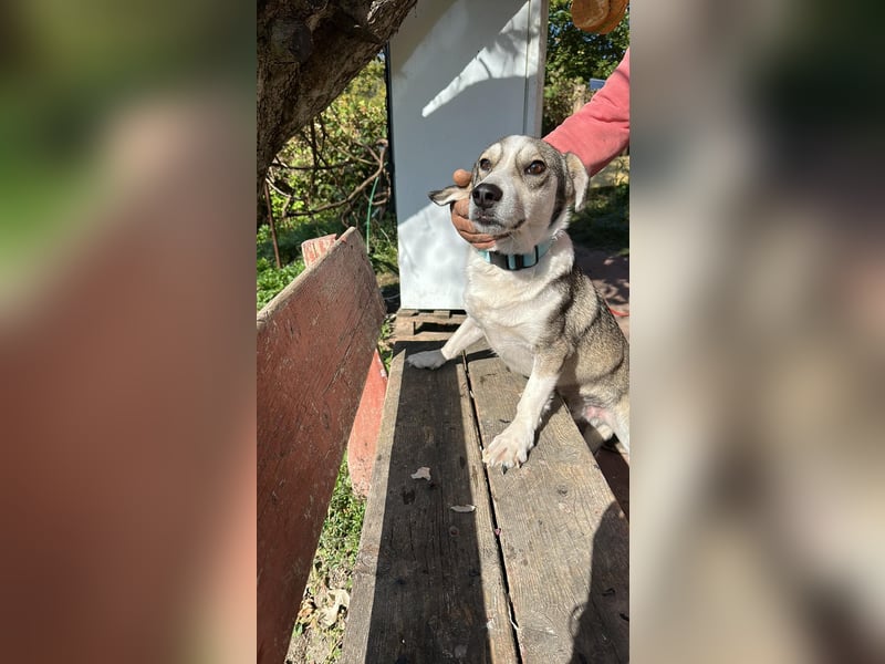 Mallon sucht seine Familie