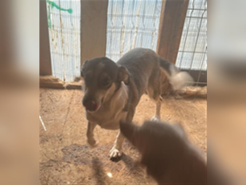 Mallon sucht seine Familie