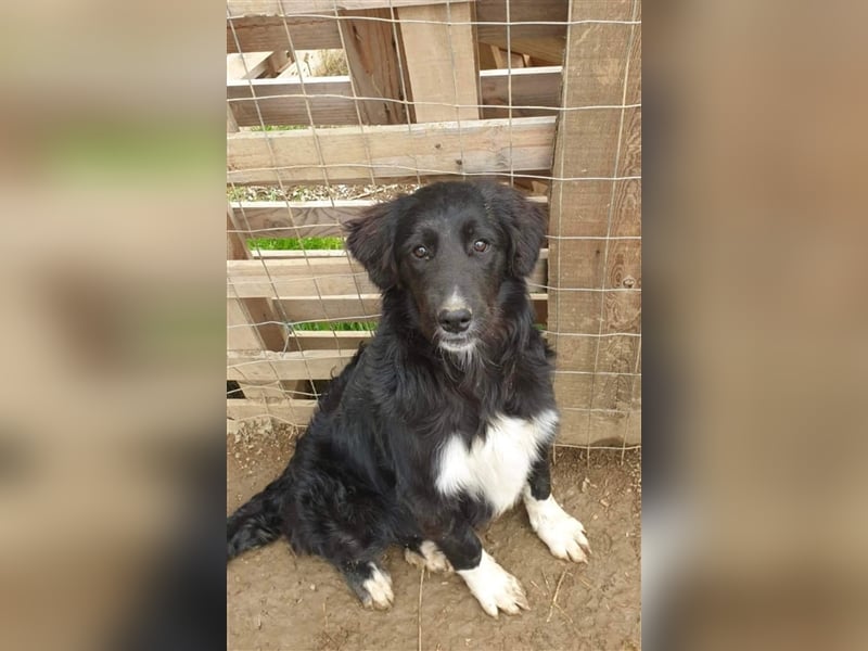 Patty die Zauberhafte