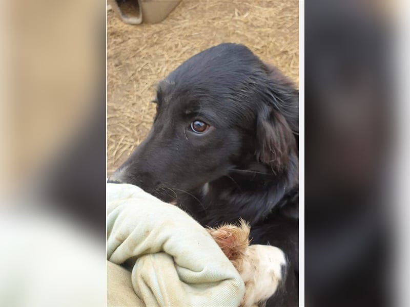 Patty die Zauberhafte