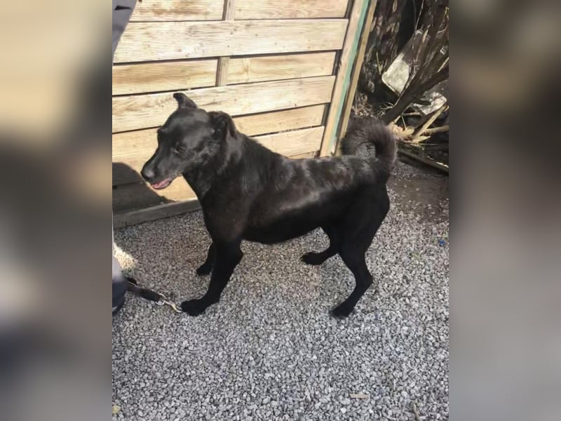 Adri VA, weiß was sie will