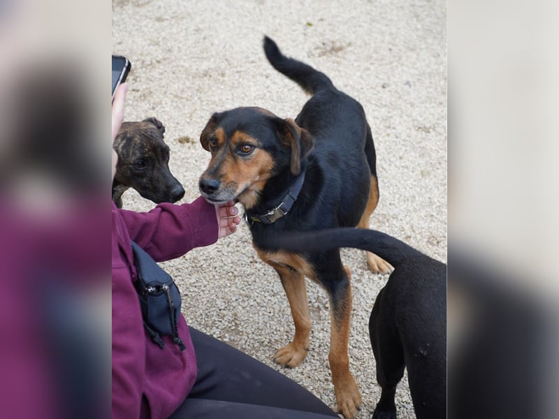 Neymar VA - sensibel, freundlich