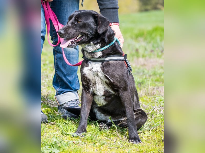 Sali SI - offen, lieb