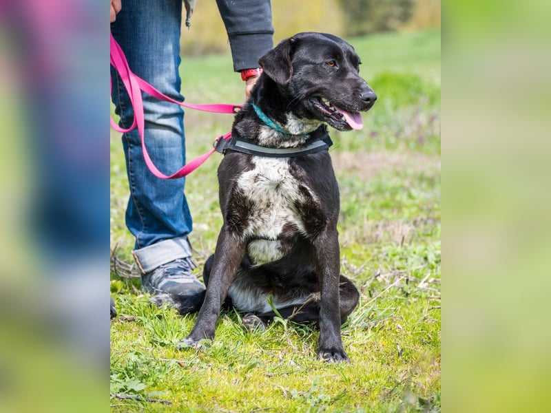 Sali SI - offen, lieb