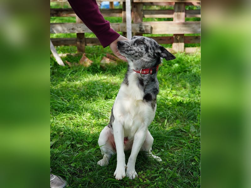 Sajo VA, möchte gerne vertrauen