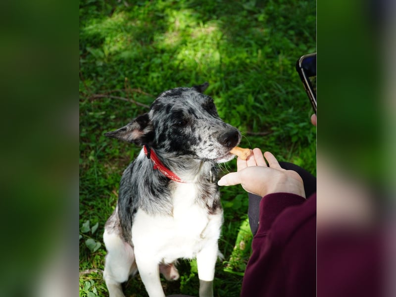 Sajo VA, möchte gerne vertrauen