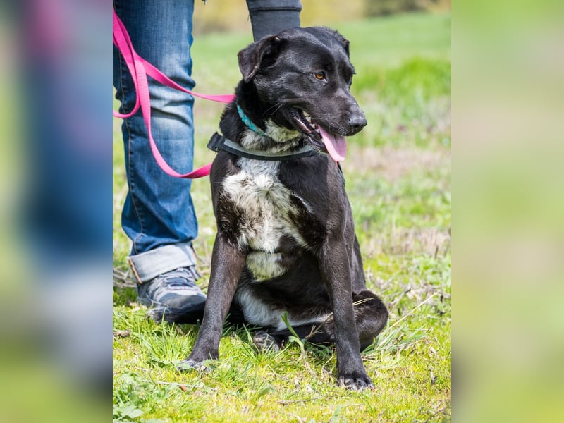 Sali SI - offen, lieb