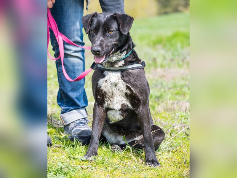 Sali SI - offen, lieb