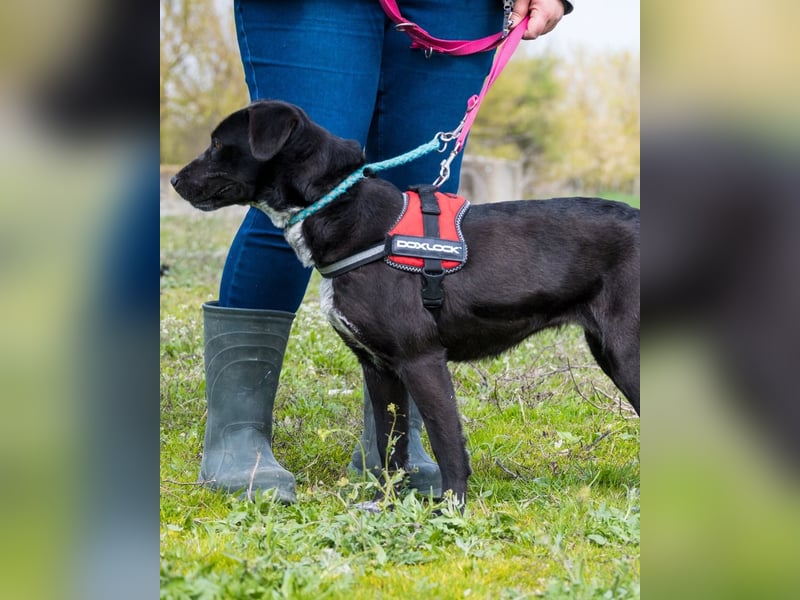 Sali SI - offen, lieb