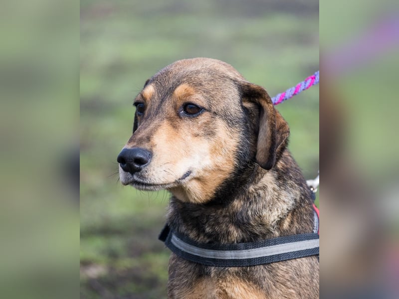 Tünci SI - offen, lieb