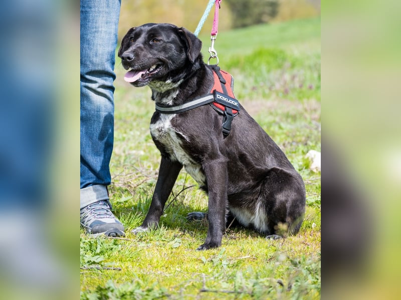 Sali SI - offen, lieb