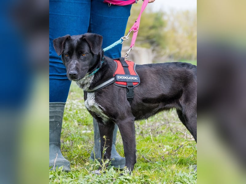 Sali SI - offen, lieb