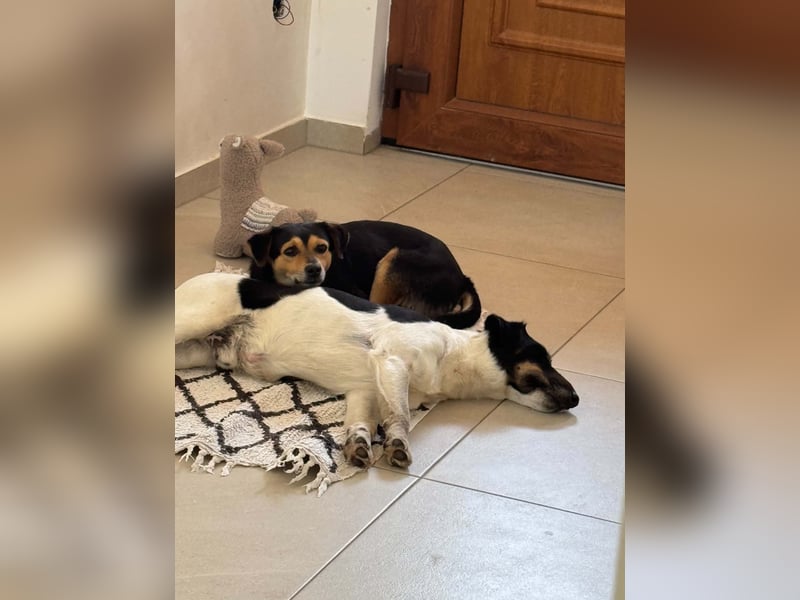 Tasli - sanft und lieb
