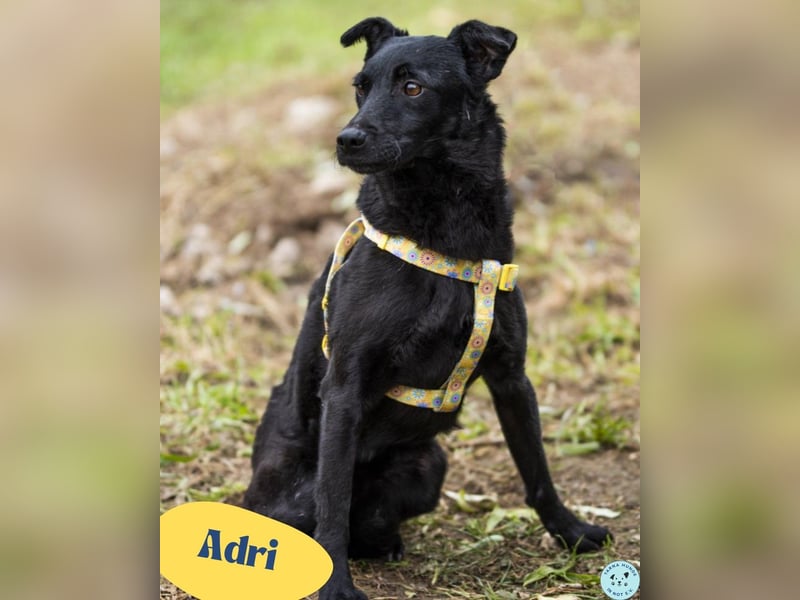 Adri VA, weiß was sie will