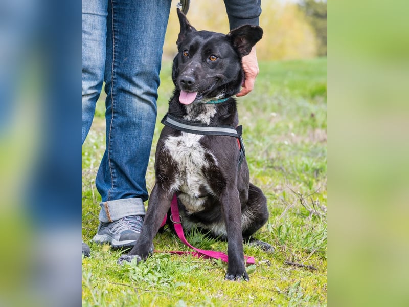 Sali SI - offen, lieb