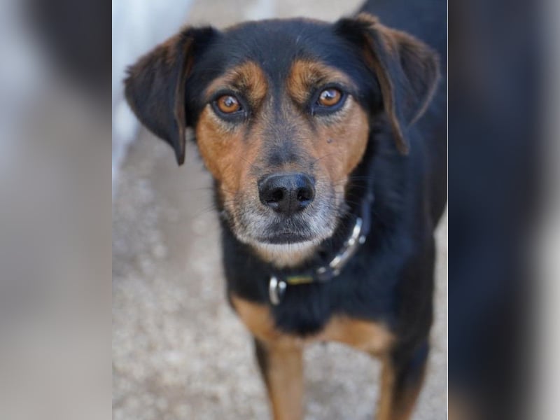 Neymar VA - sensibel, freundlich