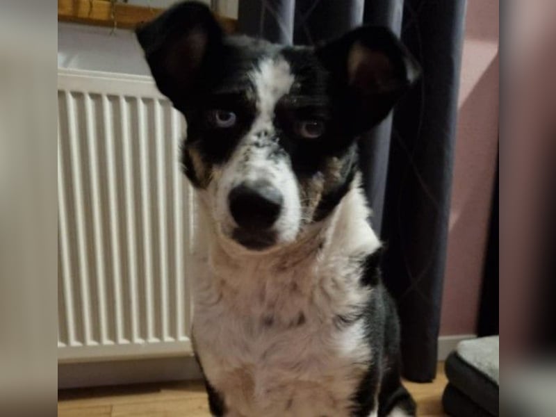 hübsche MILA sucht ihr Perfect Match