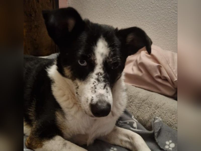 hübsche MILA sucht ihr Perfect Match