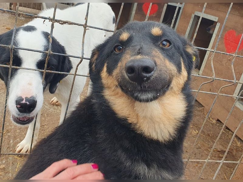 ♥ADRIANA♥ hübsche, eher zarte und zurückhaltende Zuckermaus 49 cm