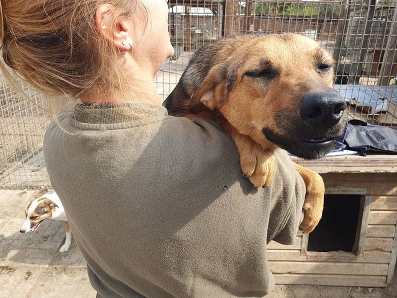 ♥MALAIKA♥ wunderschöne, fröhliche, aktive Hündin mit ganz viel Charme 50 cm