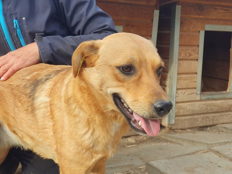 ♥PAULA♥ hübsche, sehr liebe, noch etwas zurückhaltende Zuckerschnute 46 cm