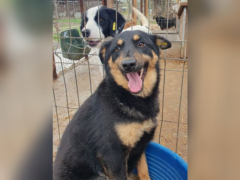 ♥ADRIANA♥ hübsche, eher zarte und zurückhaltende Zuckermaus 49 cm