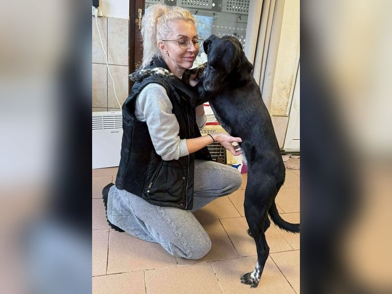 ♥FINNA♥ wunderbare, hübsche, sanfte Juniorin, die völlig entkräftet ins Tierheim kam-wird mittelgroß