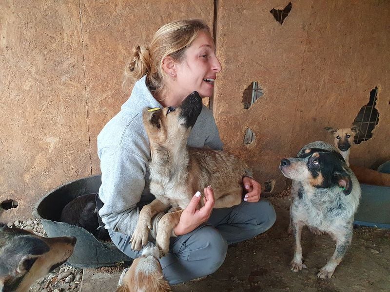 ♥LUKE♥ neu auf Pflegestelle bei Köln - süßer, charmanter, hübscher Bub 43cm (wachsend)