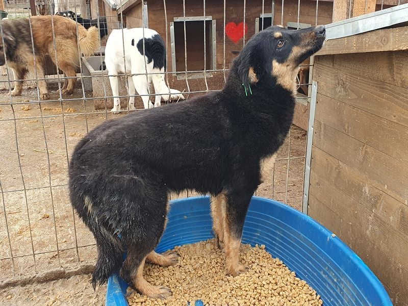 ♥ADRIANA♥ hübsche, eher zarte und zurückhaltende Zuckermaus 49 cm